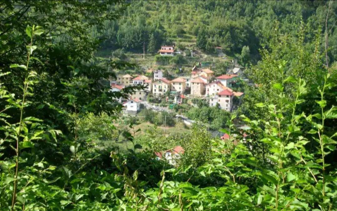 Il Non Ti Scordar Di Me Villa Valbravenna Exterior photo
