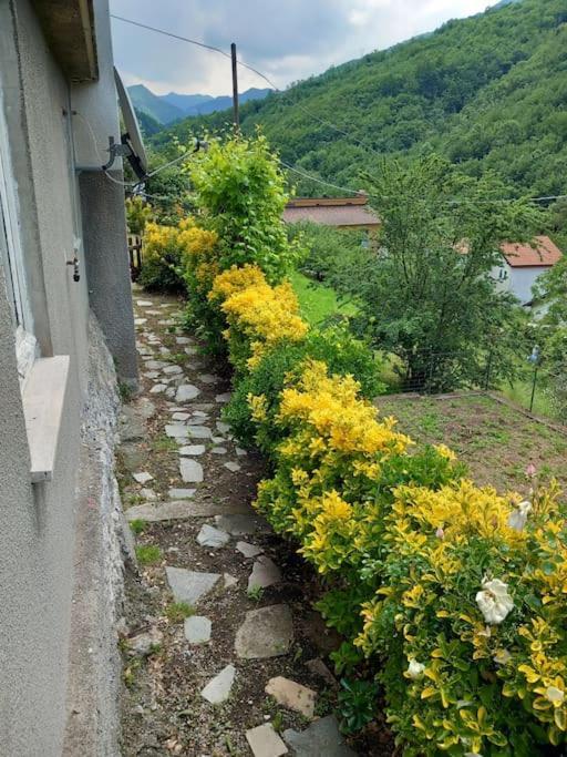 Il Non Ti Scordar Di Me Villa Valbravenna Exterior photo